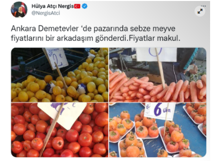 hulya-atni-nergiz-foto-1.png