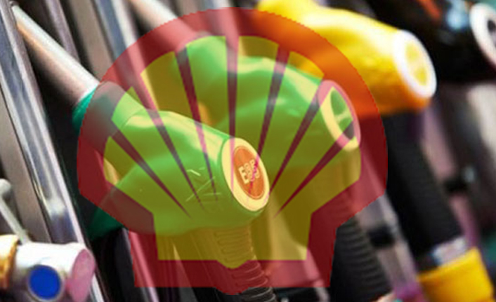 shell-2.jpg