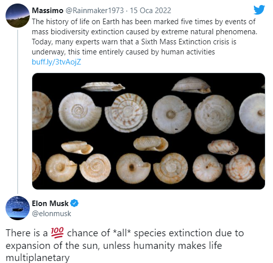 musk-tweet.png