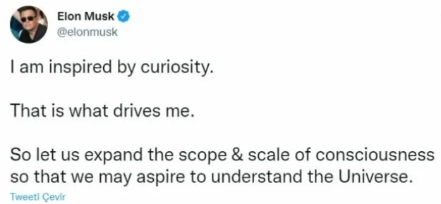 elon1.png