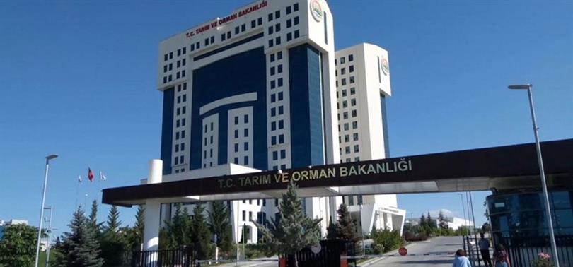 tarim-orman.jpg