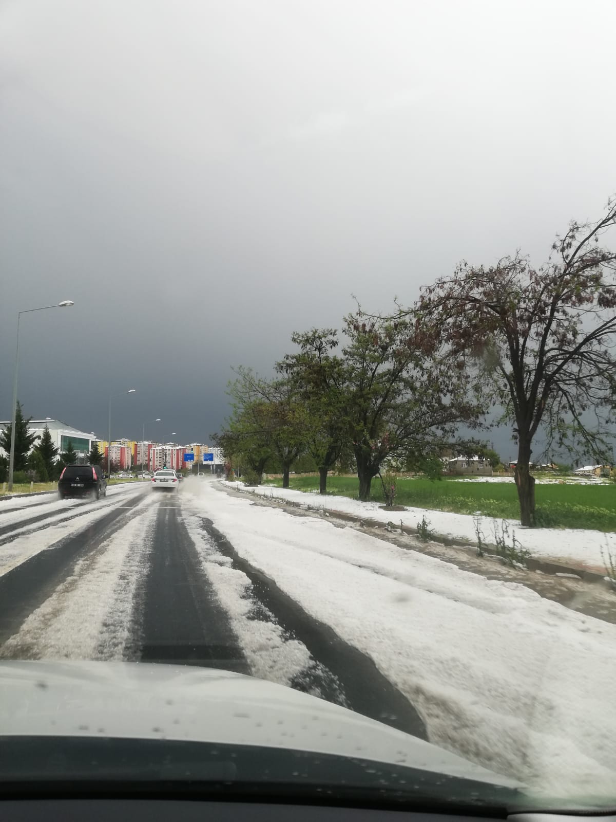 dolu.jpg