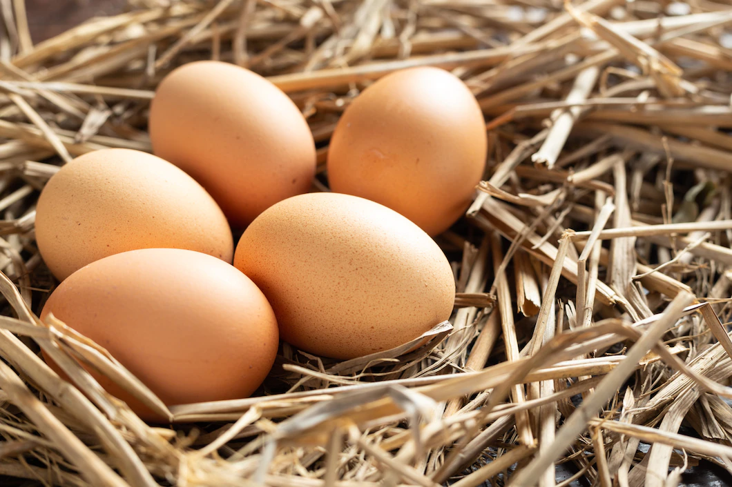 fresh-egg-from-chicken-1150-9507.webp
