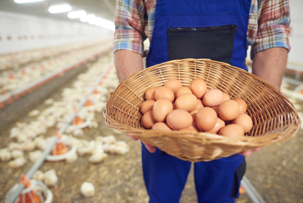 young-farmer-taking-care-his-business-329181-15950.webp