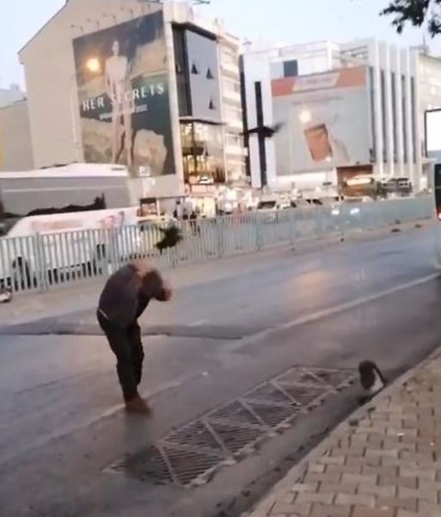 re-kadikoyde-kargalar-kaldirimdakil-id8d.jpg
