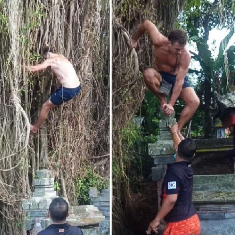 australian-tourist-helped-down-from-sacred-banyan-tree-in-bali.jpg