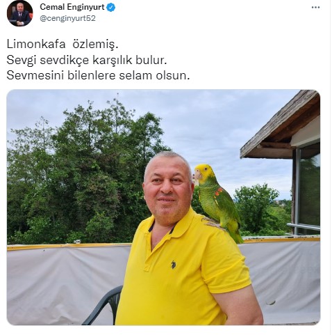 ekran-goruntusu-2022-07-15-173801.jpg