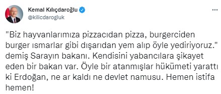 ekran-goruntusu-2022-07-21-180723.jpg