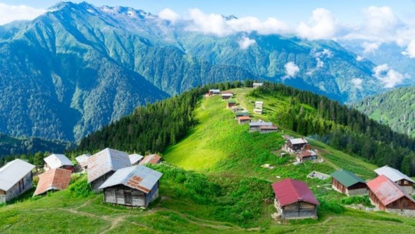rize.jpg