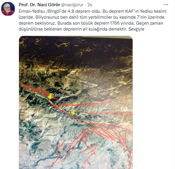 naci-gorur-tweet-2.png