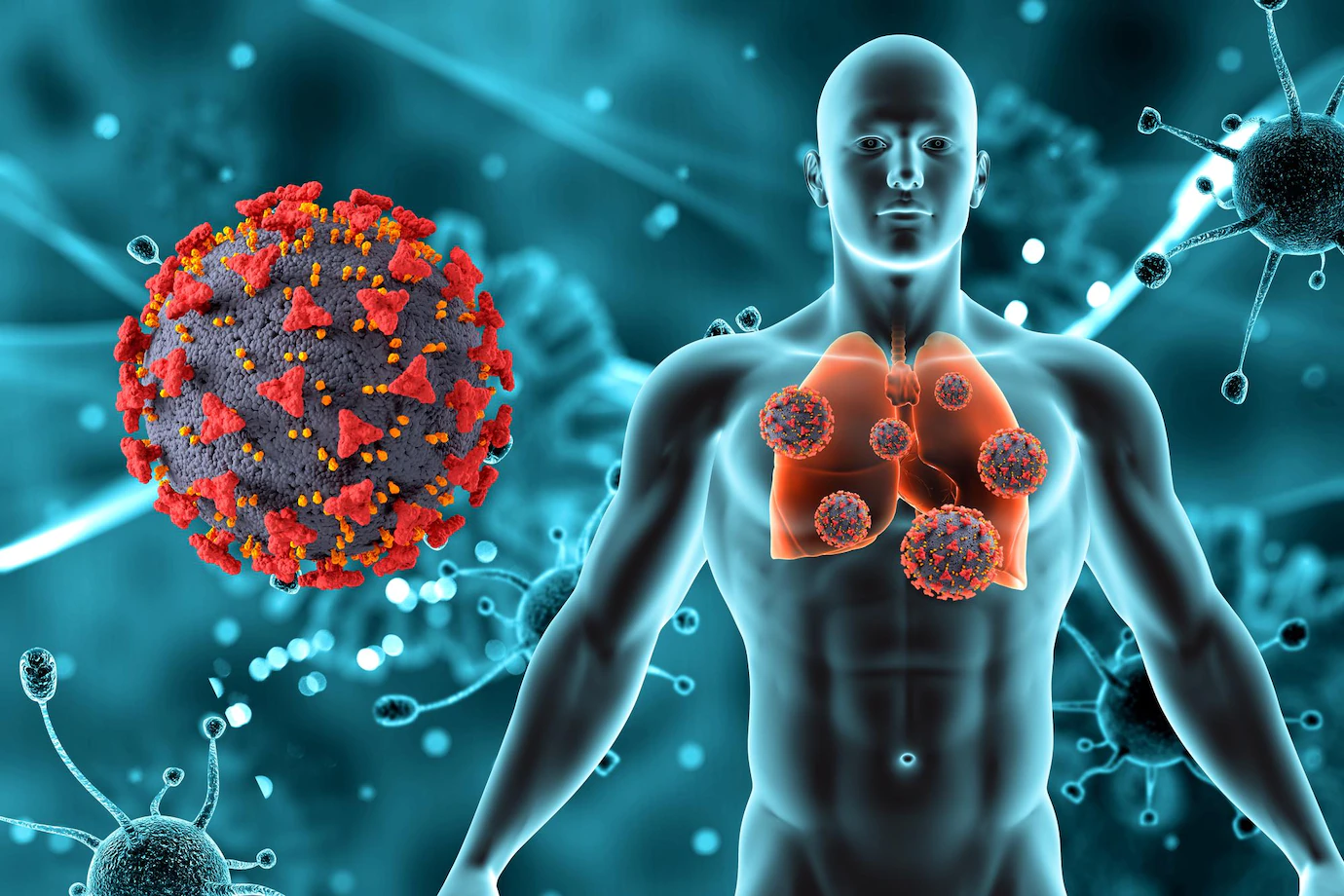 3d-render-medical-background-with-male-figure-lungs-covid-19-virus-cells-1048-15320.webp