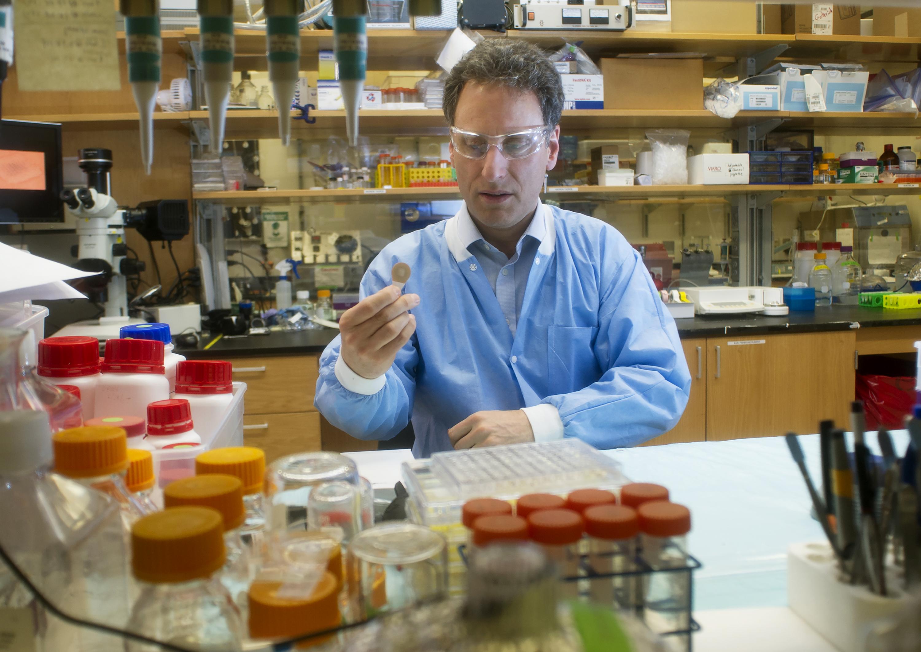 mark-prausnitz-in-the-laboratory.jpg