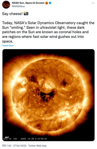 387435-395x606.jpeg