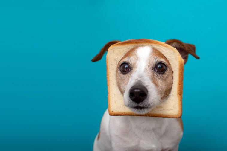 shutterstock-1435756763-758x505.jpg