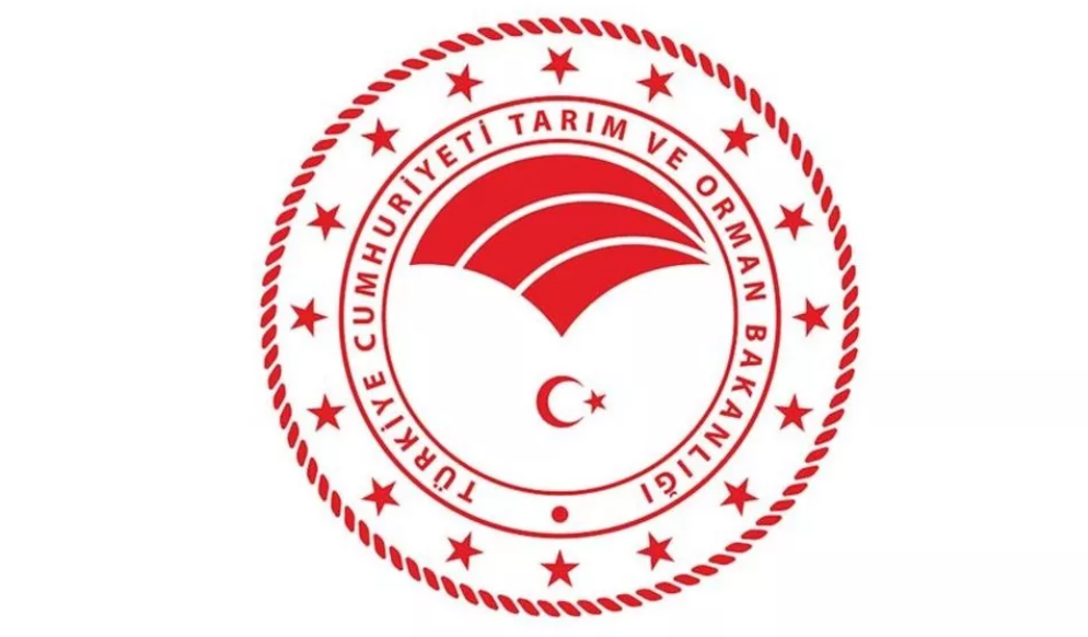 ekran-goruntusu-2022-12-16-193029.png