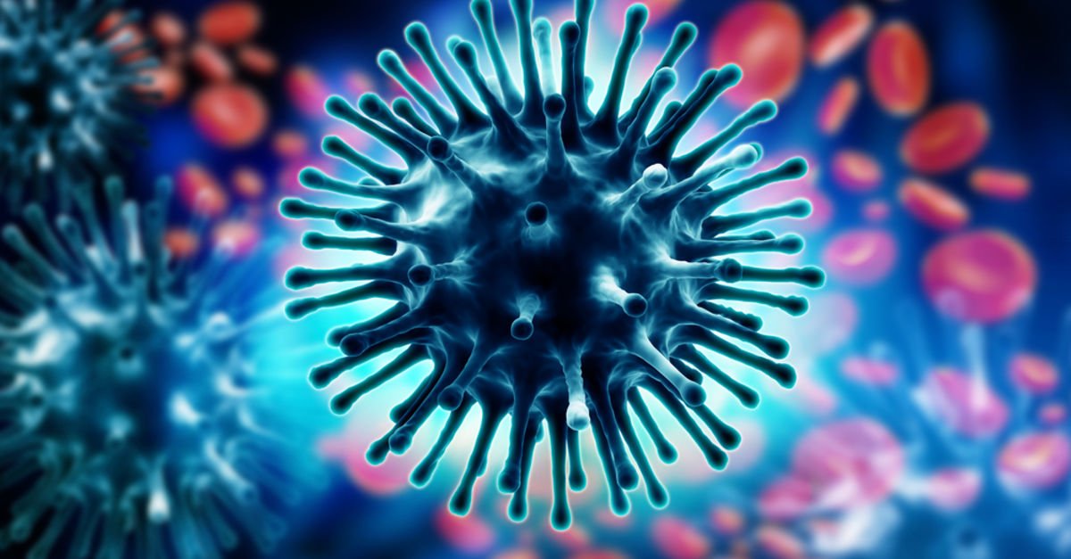 domuz-gribi-influenza4.jpg