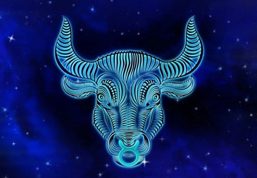 boga-gfx9.webp