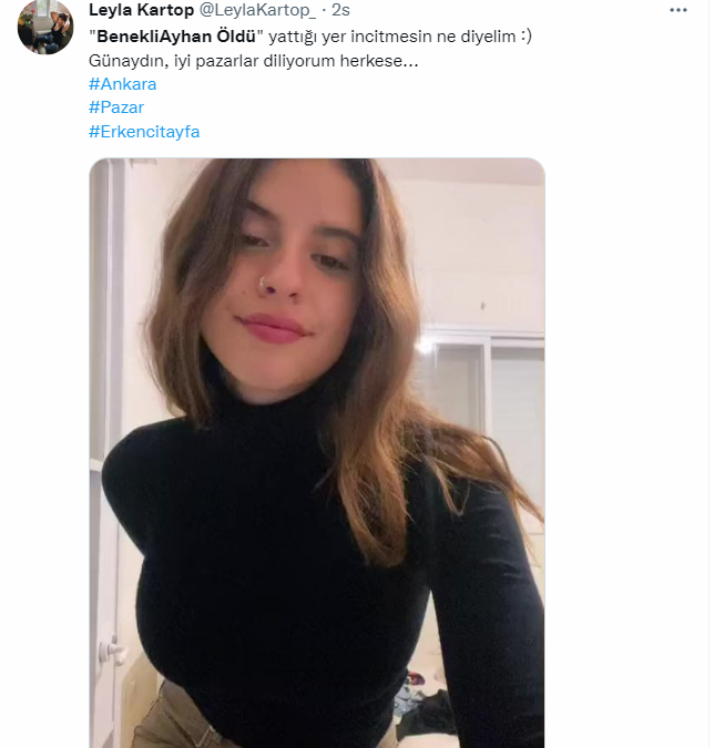 gone girl altyazı