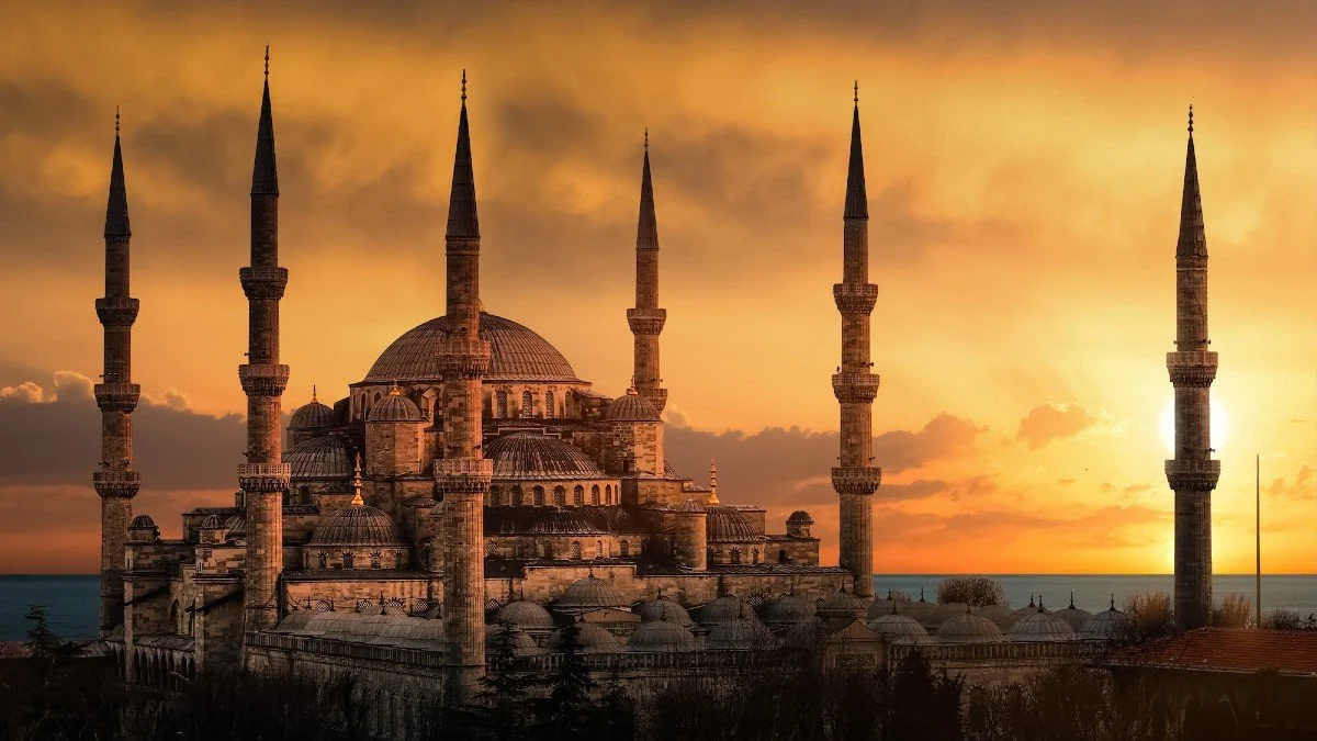 cami-6243.webp