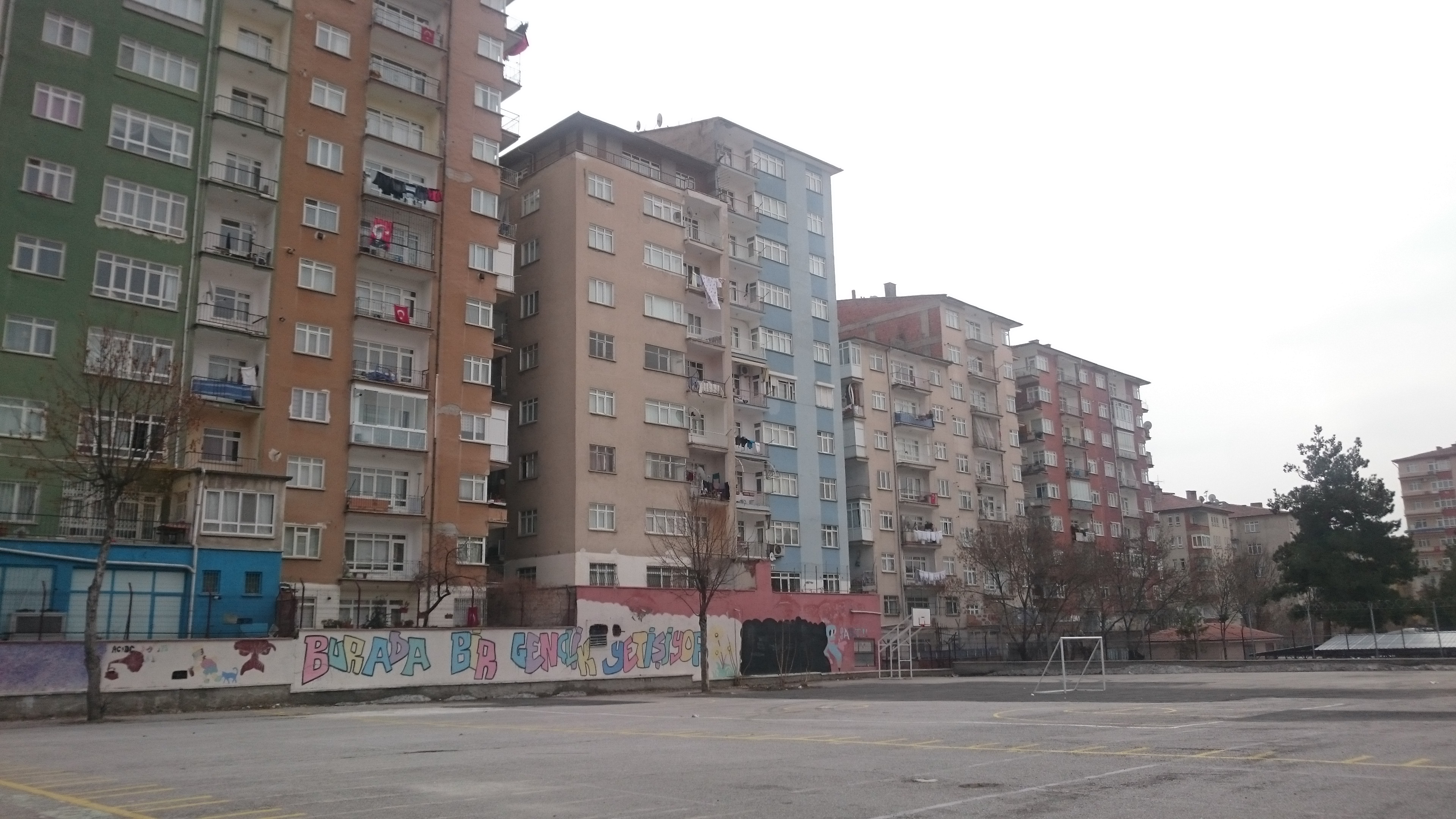 dsc-0018.jpg