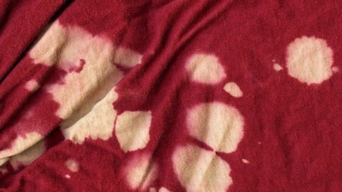 2.webp