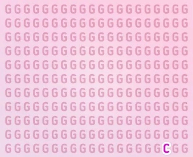 11.webp