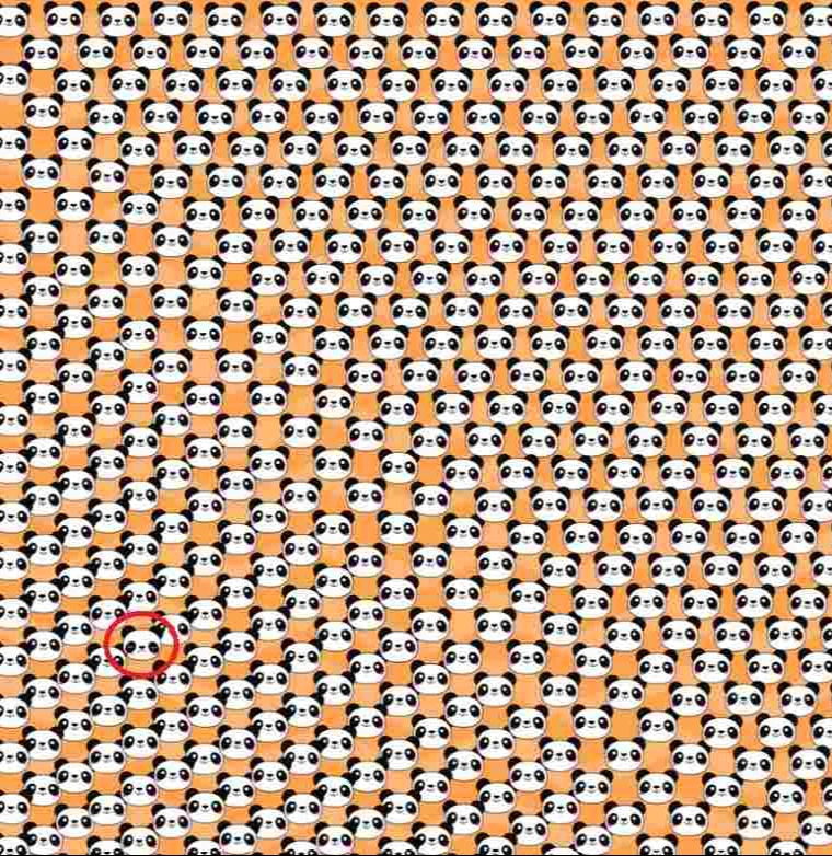 111.webp