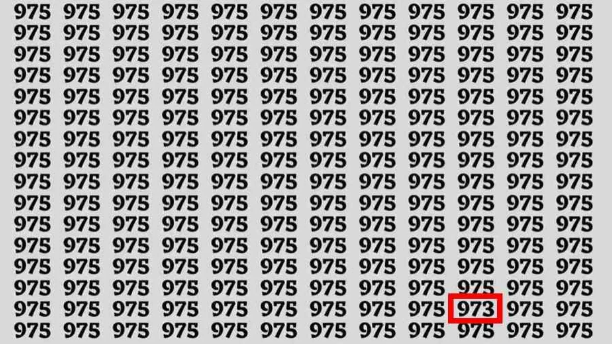 9.webp
