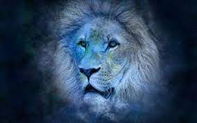 aslan-burcu-001.jpg