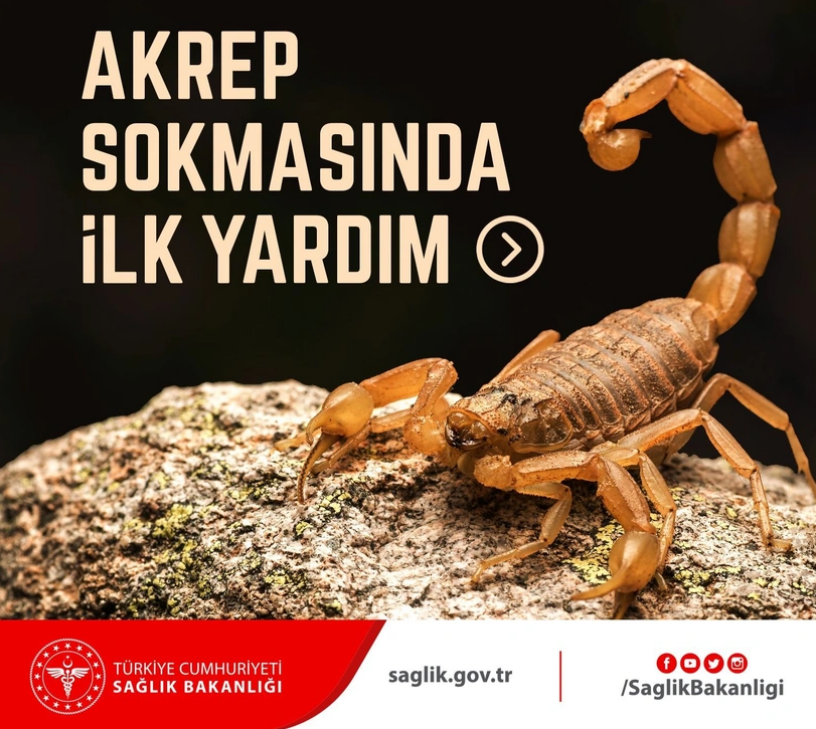ekran-goruntusu-2023-06-13-192333.png