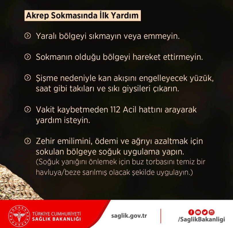 ekran-goruntusu-2023-06-13-192344.png