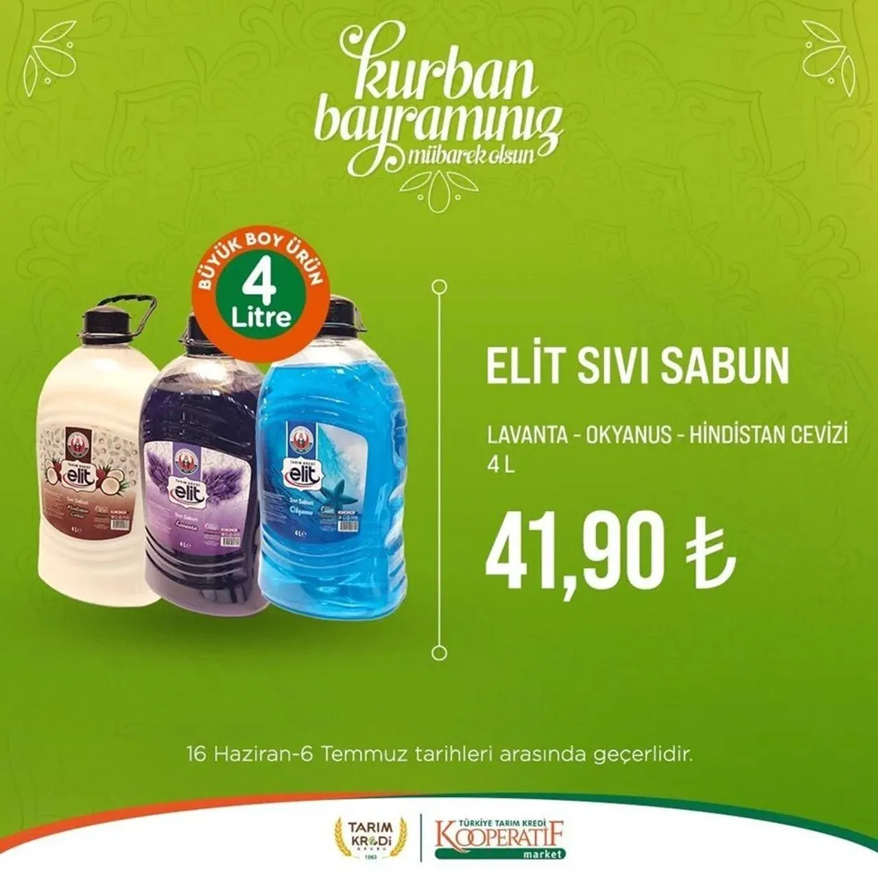 55.webp