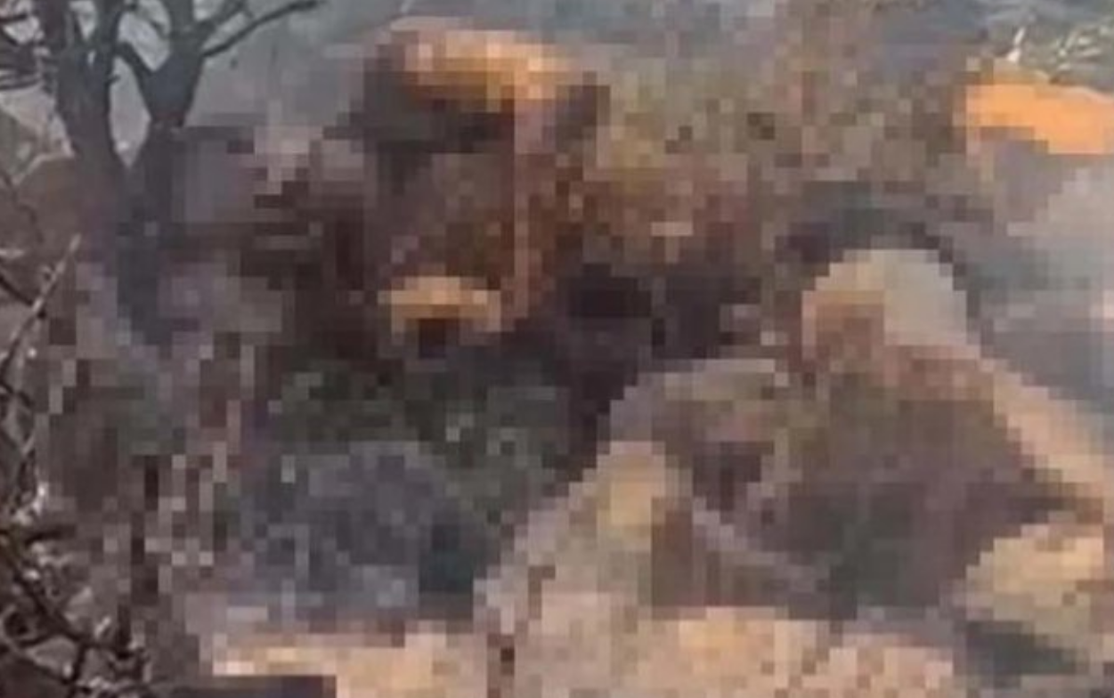 ekran-goruntusu-2023-06-23-190547.png