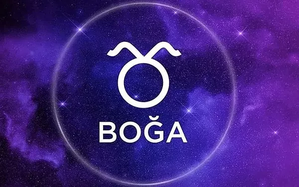bogs.webp