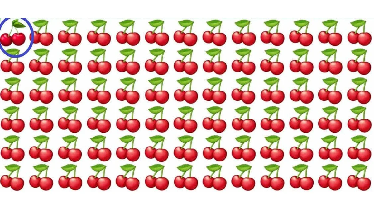 2.webp
