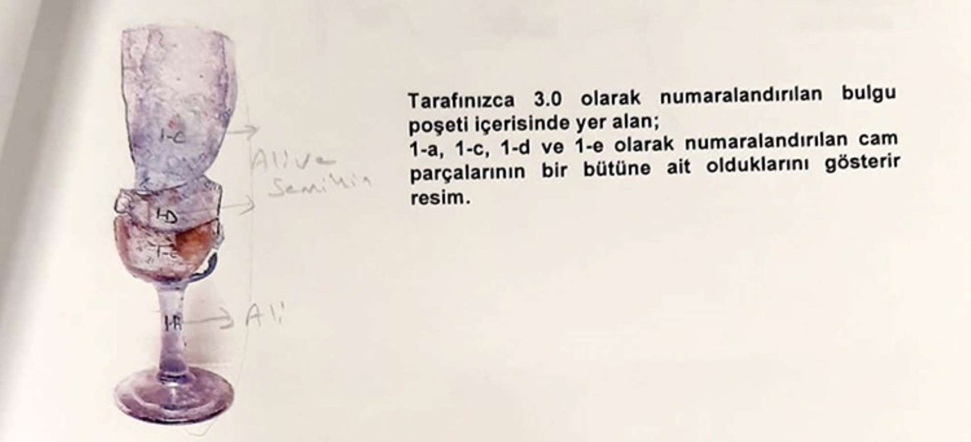 155553833-1.jpg