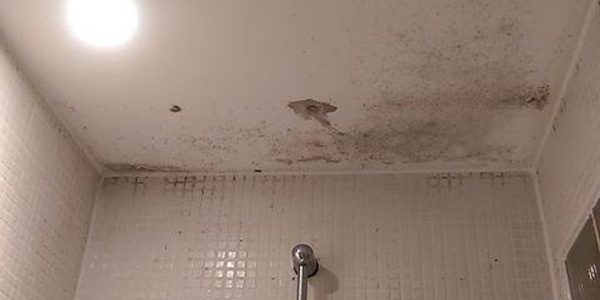 tavan-kuflenmesi-nasil-onlenir-o4kfntum5bjv0fjvvsqlpagzvhlb14bd3ua3q5cek8.jpg