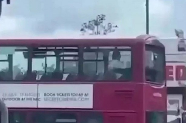 e.jpg