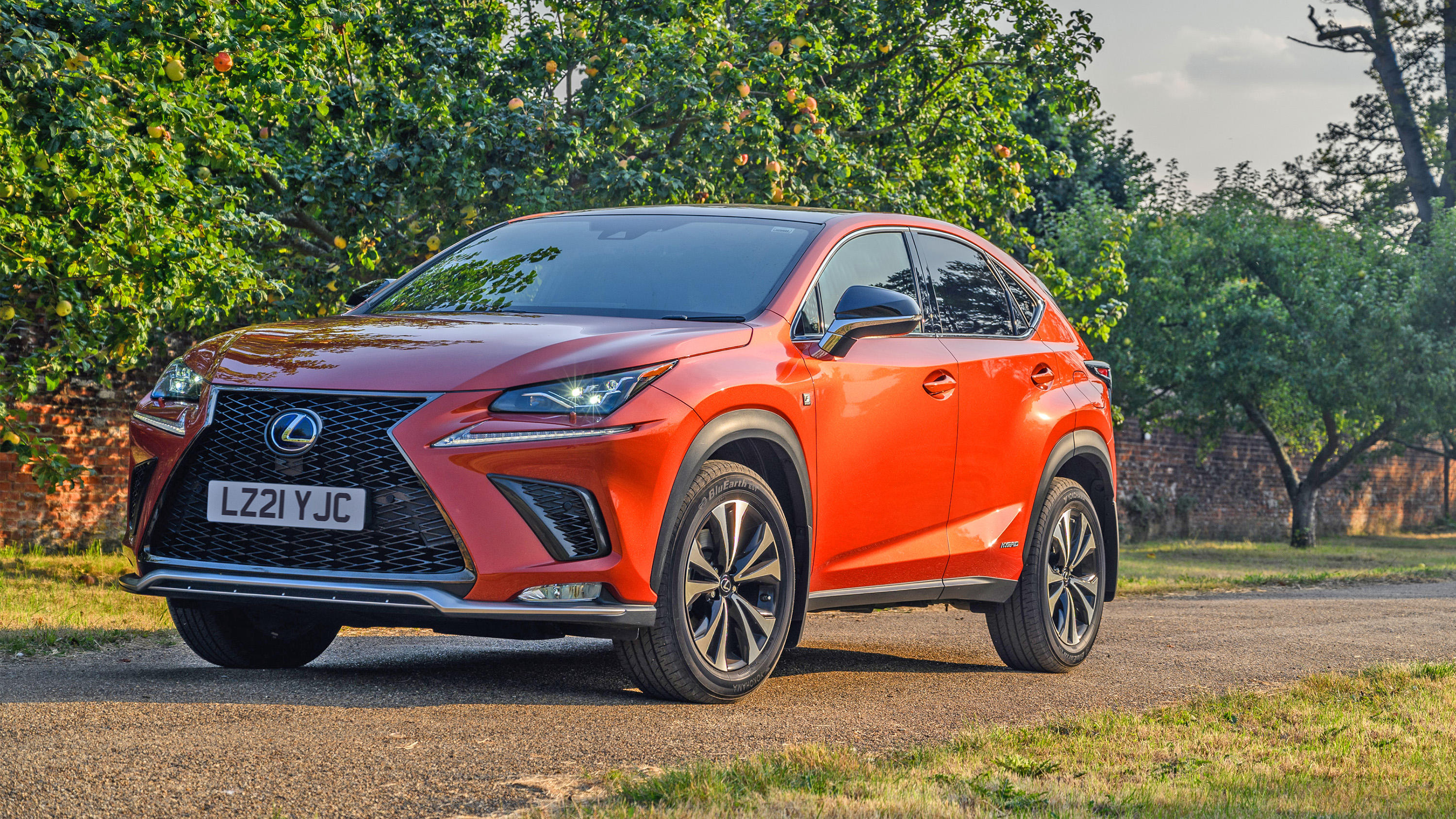 lexus-nx-2.jpg