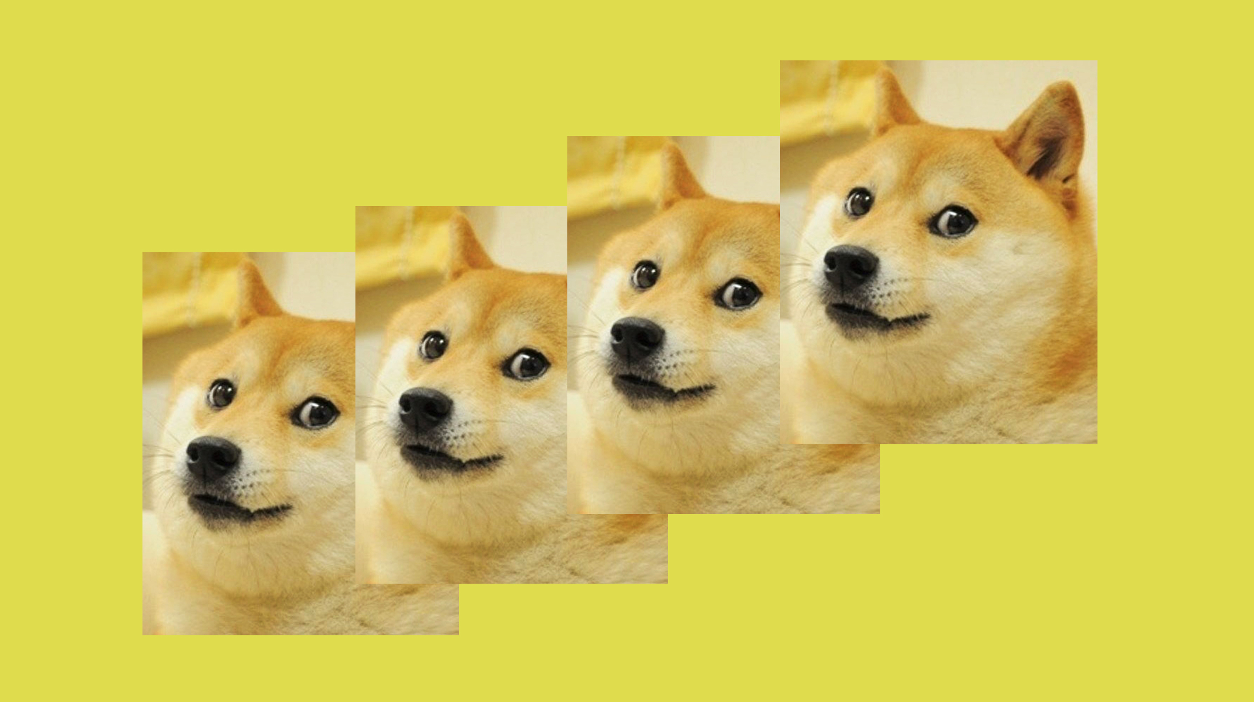 210607-doge-meme-2x1-se-431p.jpg
