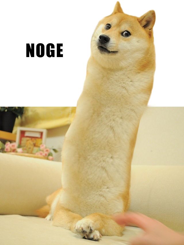 83bb3784541f472d885638b0fa39facd-doge-google-search.jpg