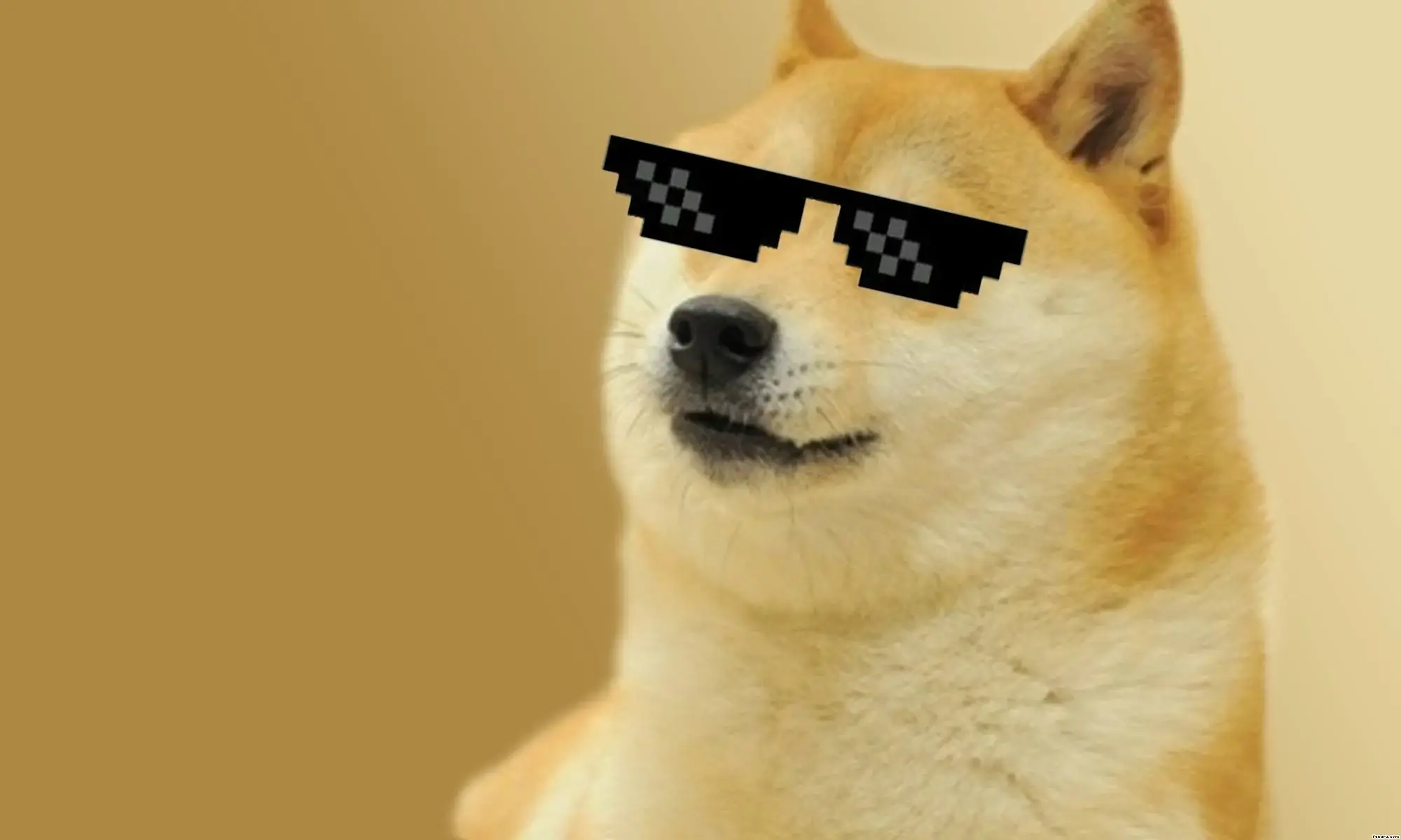 doge-meme-2.webp