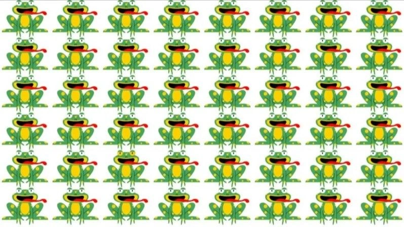 s1-d5qc.webp