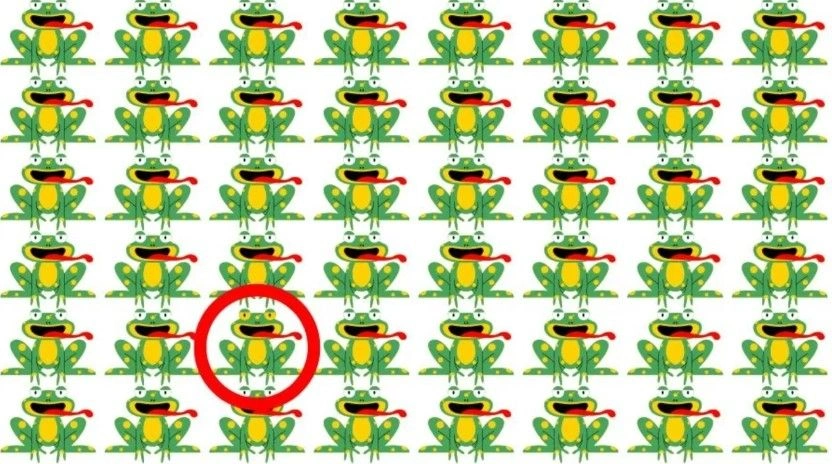 s2-pek1.webp