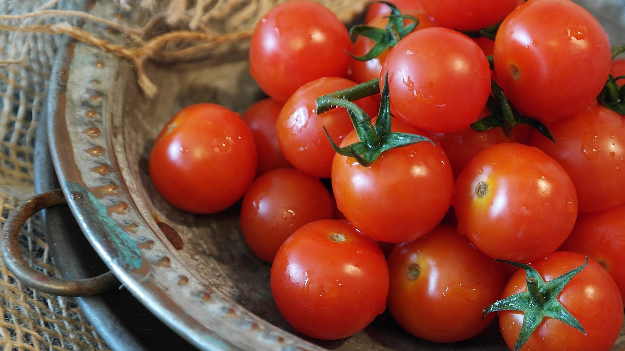 tomatoes-2559809-1280.jpg