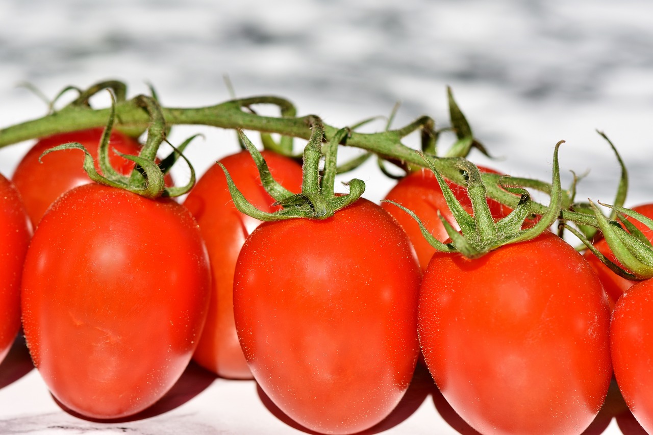 tomatoes-3480643-1280.jpg