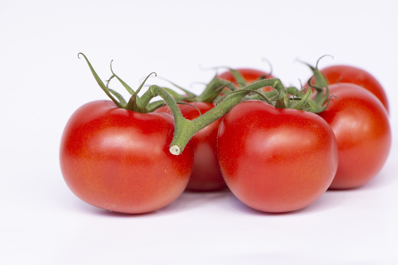tomatoes-4348557-1280.jpg