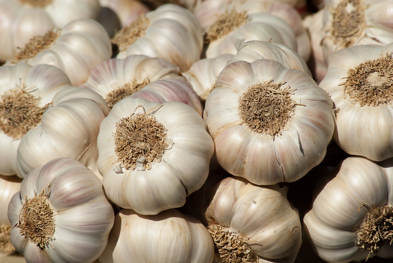 garlic-2097759-1280.jpg