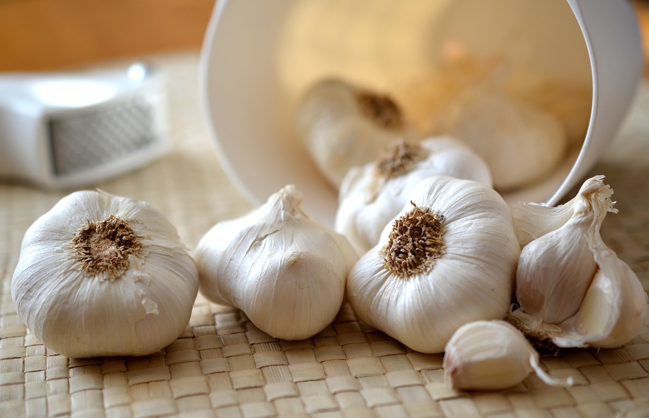 garlic-545223-1280.jpg