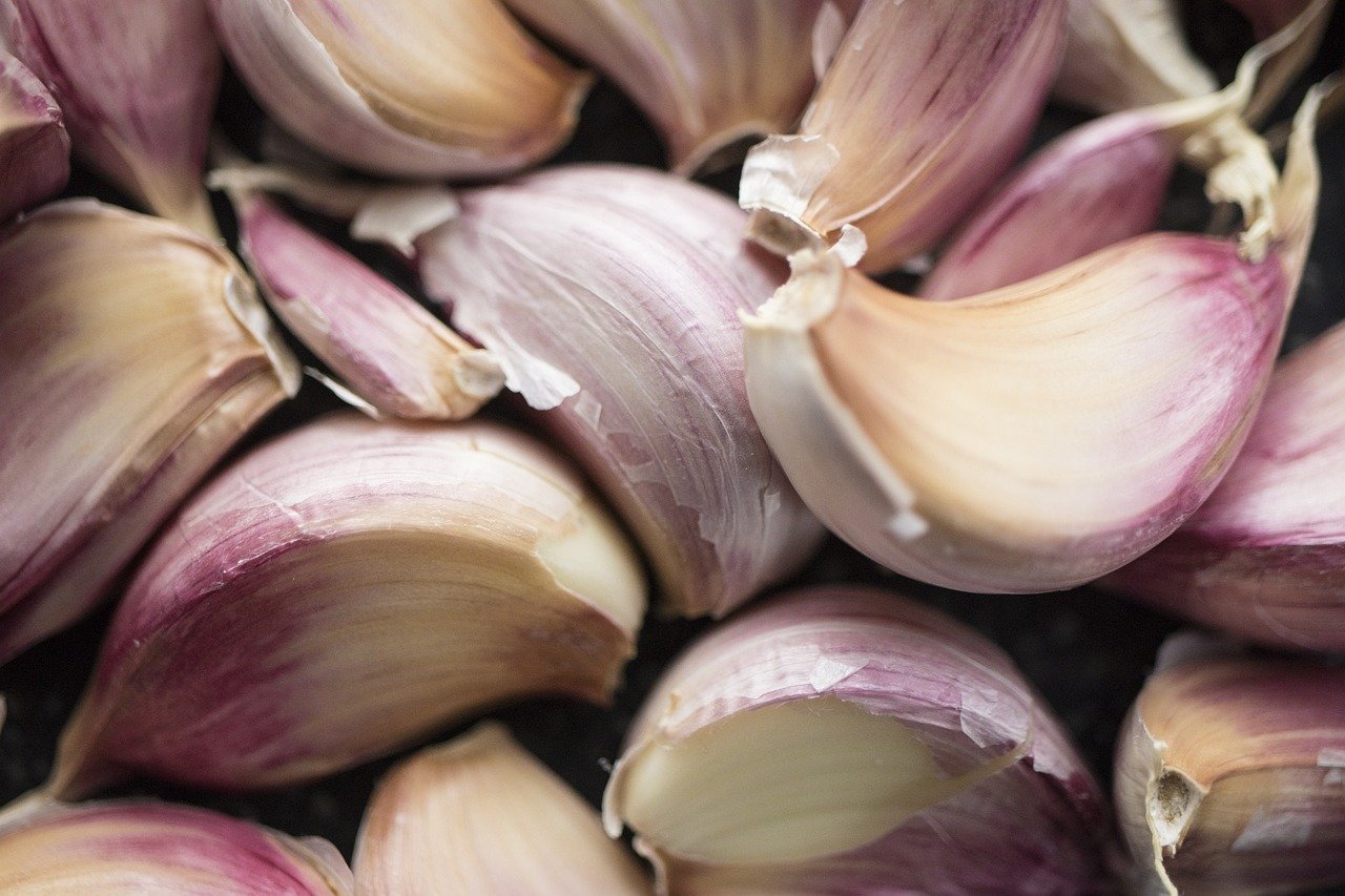 garlic-8214036-1280.jpg